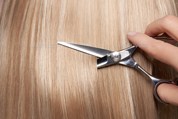 Hairdresser cuts long blonde hair with scissors