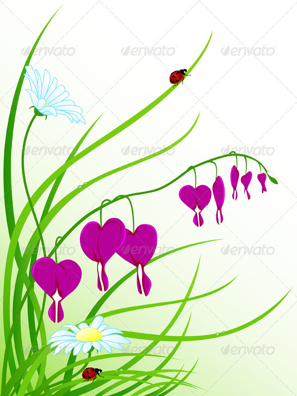 Floral Background with Chamomiles - Flowers & Plants Nature