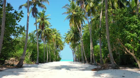 Aerial tourism of perfect resort beach wildlife by clear water and white sand background of a daytri alt
