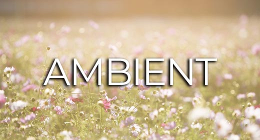 Ambient
