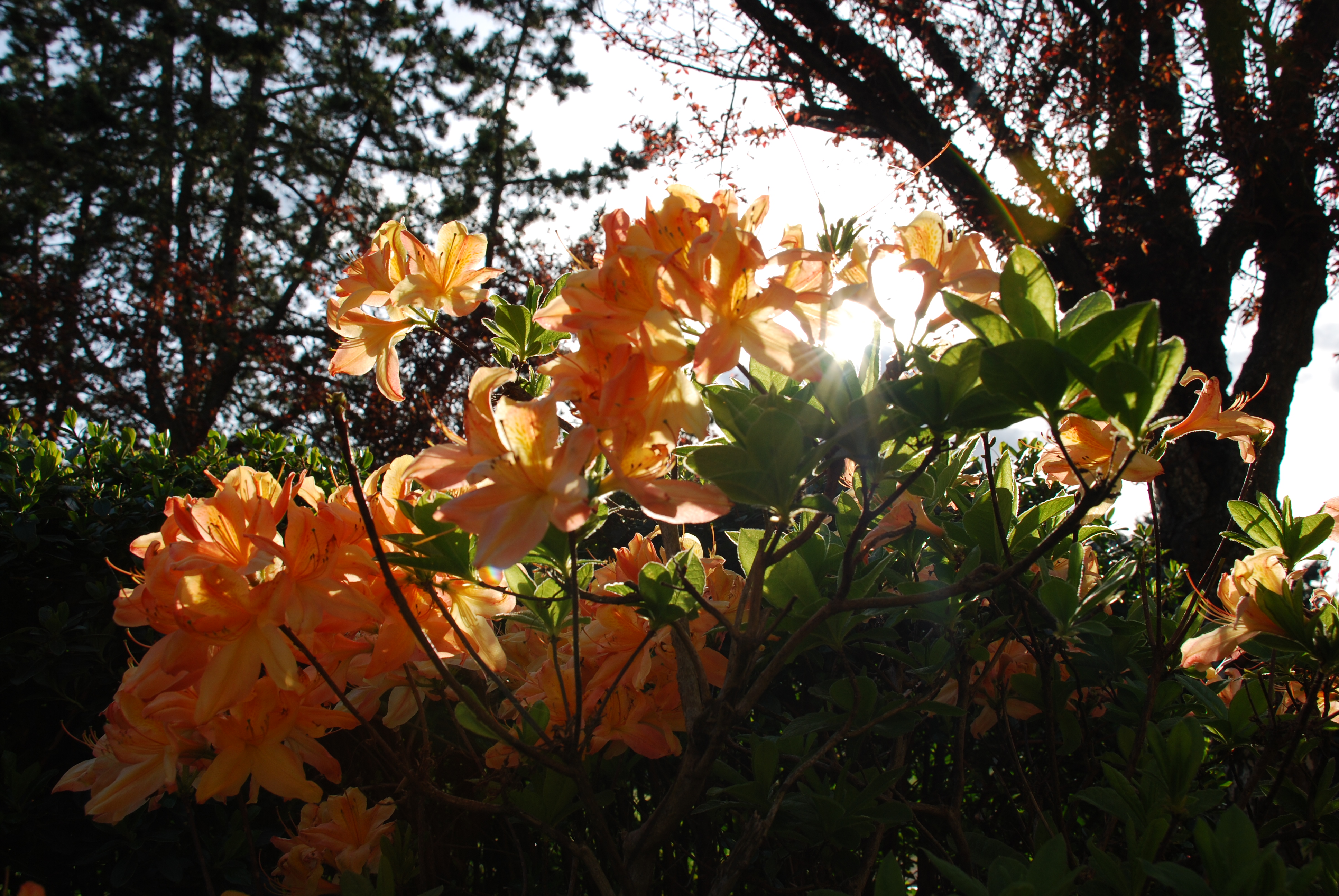 Natures gift is it's unrelenting beauty.