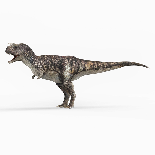 Carnotaurus Dinosaur - 3Docean 27992458