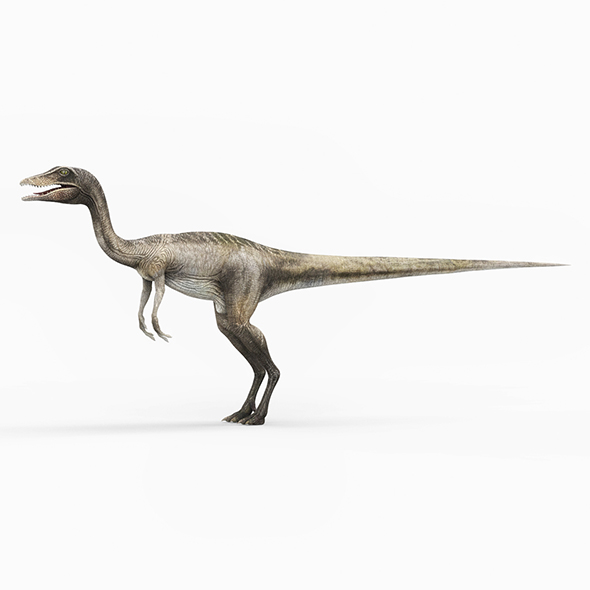 Compsognathus Dinosaur - 3Docean 27992474