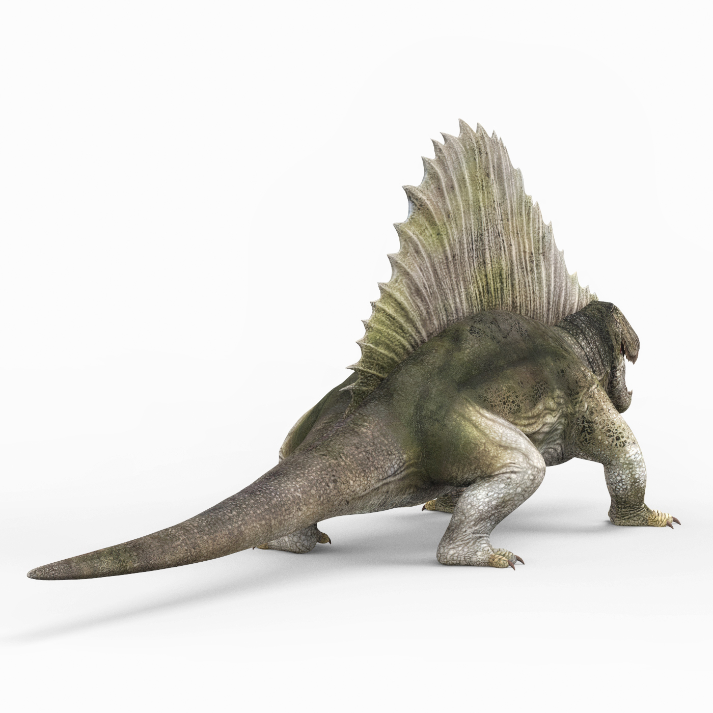 Dimetrodonte, Dinossauro 3D de Madeira