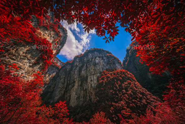 Massive vertical rock walls in Wulong National Park in autumn - Stock Photo - Images