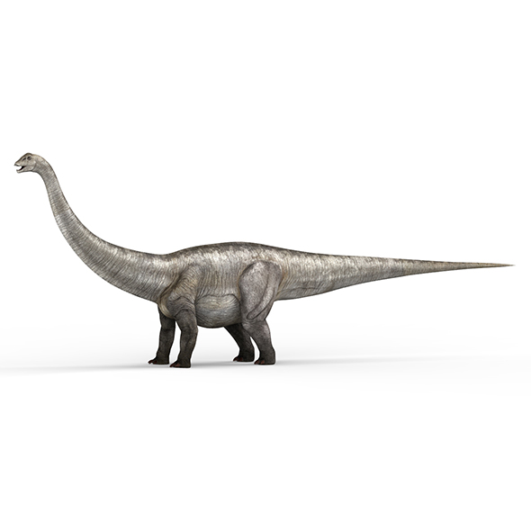 Diplodocus Dinosaur - 3Docean 28019177