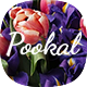 Pookal - Flower Shop & Florist  Shopify Theme