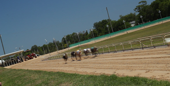 Dog Track Racing