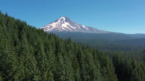 Aerial flying low over evergreen forest toward a majestic snow covered mountain peak - Mount Hood. alt