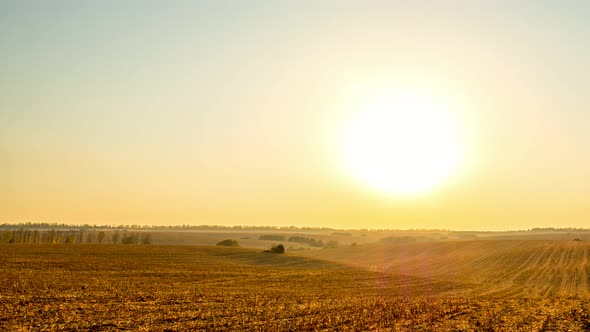 Sunset on Autumn Corn Field alt