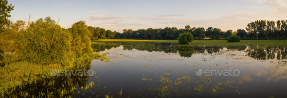 Panoramic view on flooded meadow in summer at sunrise - Stock Photo - Images