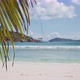 Peaceful View of Palm Tree Slightly Swaying in Breeze Air, Sandy Beach and Defocused Yacht Ocean - VideoHive Item for Sale
