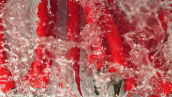 Super Slow Motion Fresh Chilli Pepper Falls Into the Water with Splashes alt