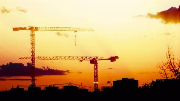 Construction crane on sunset background