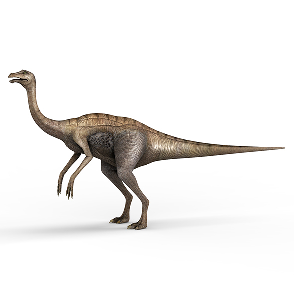 Gallimimus Dinosaur - 3Docean 28067664