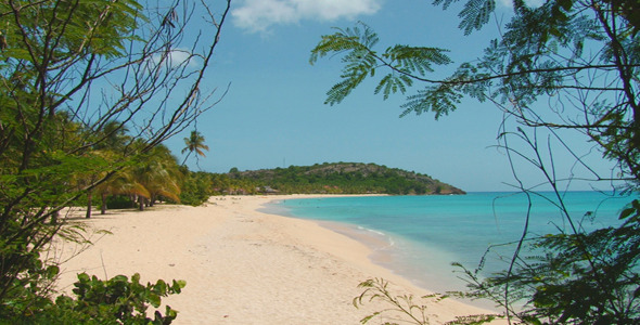 From Jungle to Paradise alt