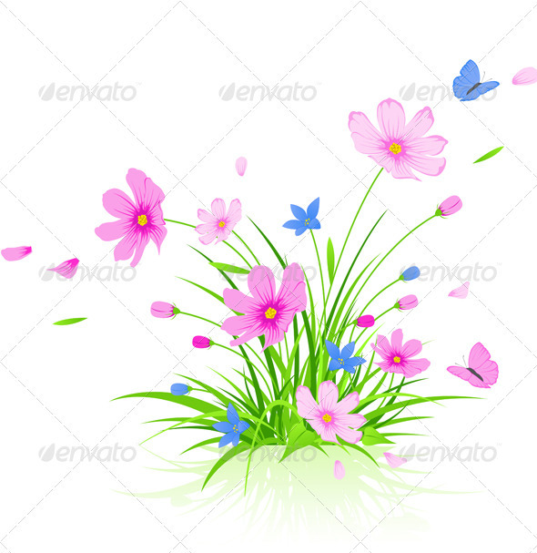 Floral Background with Cosmos Flowers - Flowers & Plants Nature
