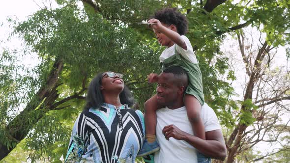 African American family a picnic in park, Son sit on dad shoulder and enjoy.