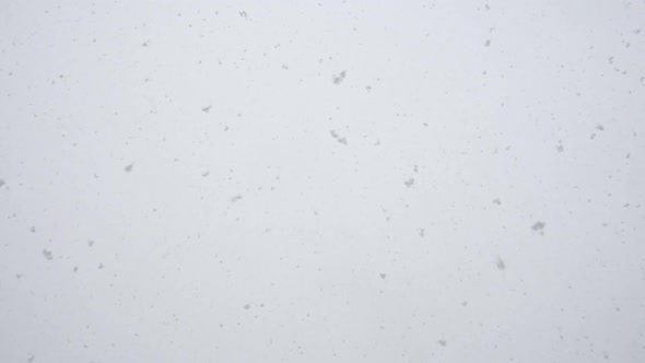 Snow Falling at Winter Day, Qualitative Slow Motion alt