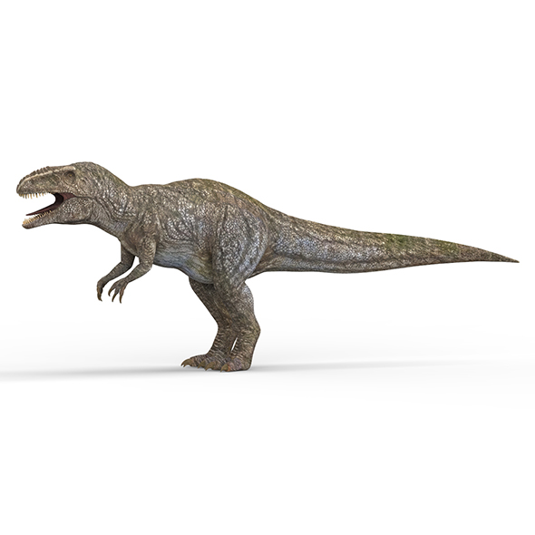 Giganotosaurus Dinosaur - 3Docean 28123444