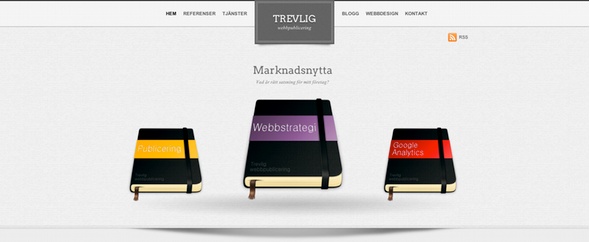 Trevlig hemsida2