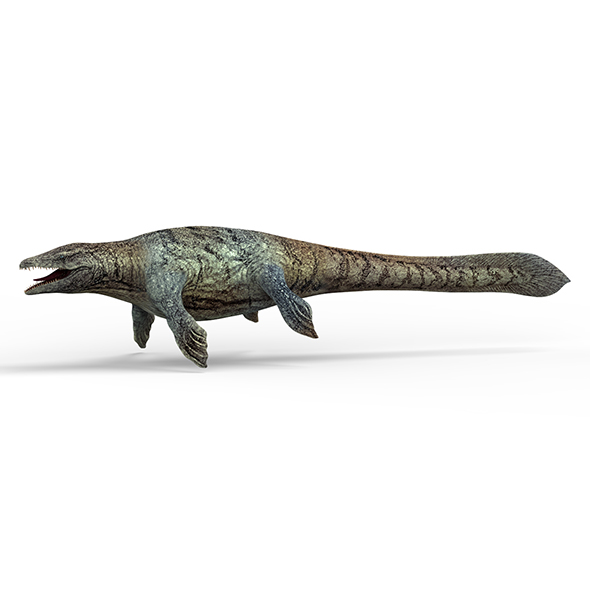 Mosasaurus Dinosaur - 3Docean 28145467