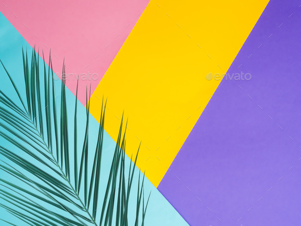 Colored paper background with tropical leaf Stock Photo by Fasci | PhotoDune