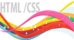 HTML CSS Themes