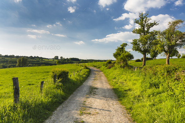 Meadow And Road Near Aachen, Germany - Stock Photo - Images