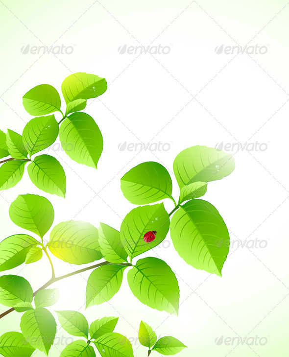 Floral Background with Green Branch - Flowers & Plants Nature