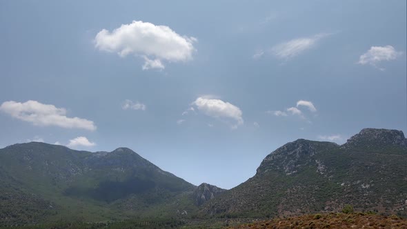 Excessively Humid and Damp Air in Dry Forest Geography alt