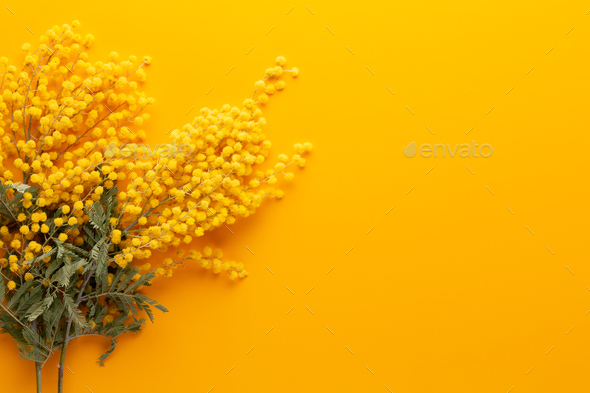 Yellow flower pattern on a yellow background. Spring greeting card. Stock  Photo by GitaKulinica