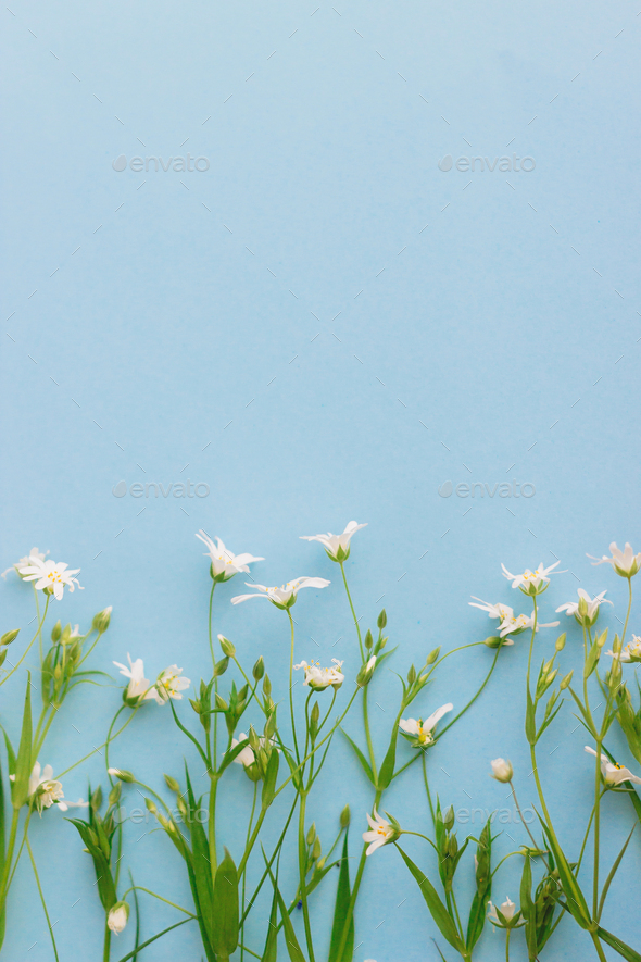 Wildflowers border on blue paper background