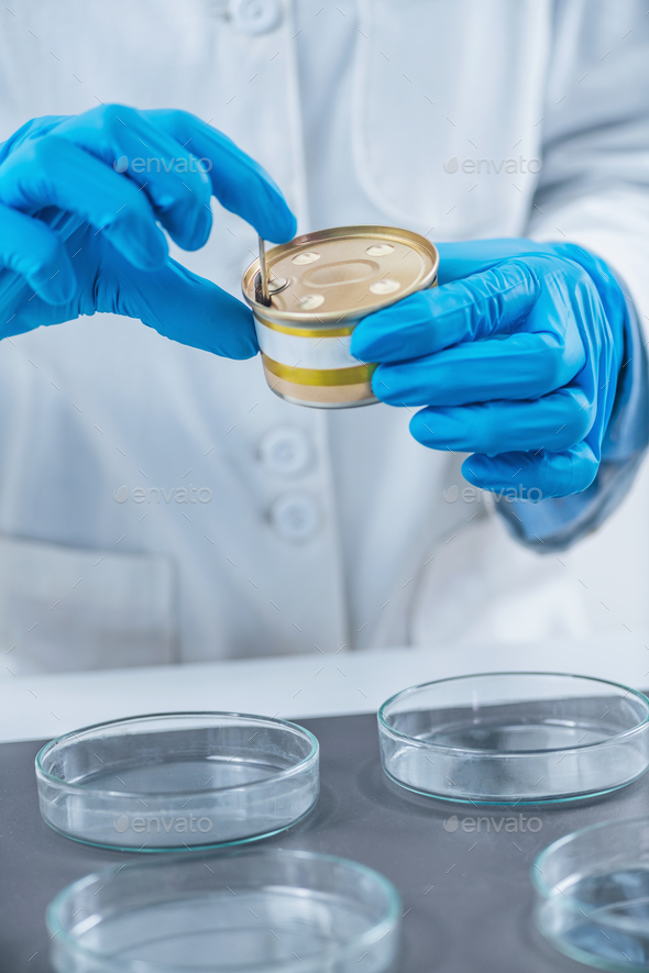 Microbiologist Preparing Sample of Canned Pet Food for Quality Control