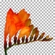 Time-lapse of opening orange freesia with ALPHA channel Time-lapse of opening orange freesia with ALPHA channel - VideoHive Item for Sale