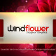 Windflower - Designer Template - VideoHive Item for Sale