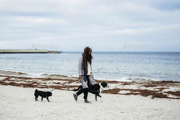 Woman walking with dogs on beach