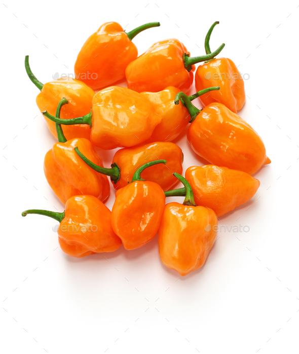 habanero hot chili pepper isolated on white background Stock Photo by