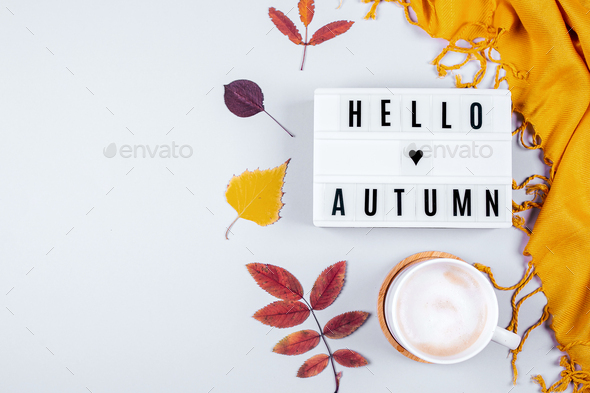 Cup of coffee, orange scafr and light box with words Hello Autumn and Colorful autumn fall leaves on grey background. Flat lay