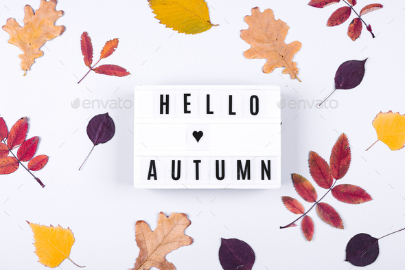 Light box the words Hello Autumn and Colorful autumn fall leaves on grey background. Flat lay