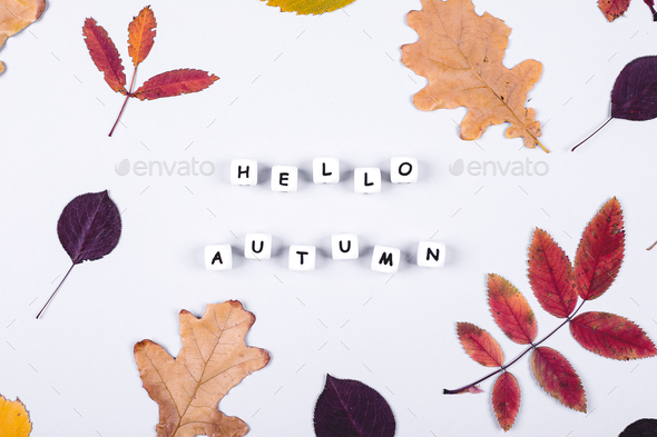 Letters words Hello Autumn on grey background. Colorful autumn leaf. Cozy mood concept. Flat lay