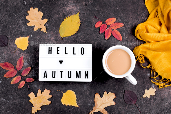 Light box with words Hello Autumn, cup of coffee and colorful autumn fall leaves on dark background