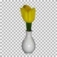 Time-lapse of opening yellow tulip with ALPHA channel - VideoHive Item for Sale