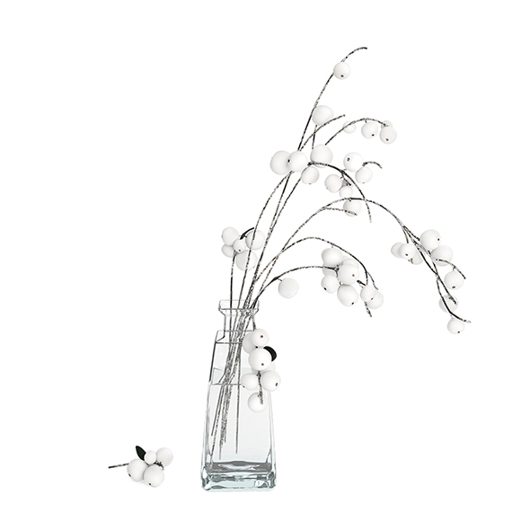 Snowberry in Vase - 3Docean 28292208