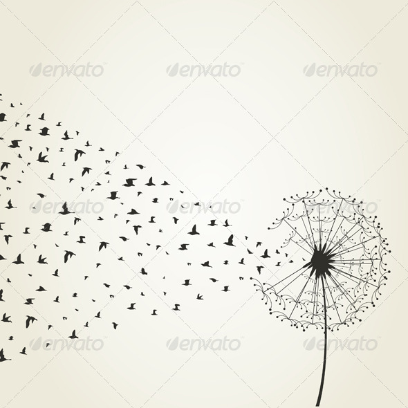 Dandelion9