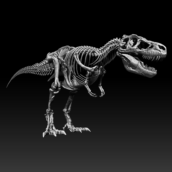 Sub Tyrannosaurus Rex - 3Docean 28301447