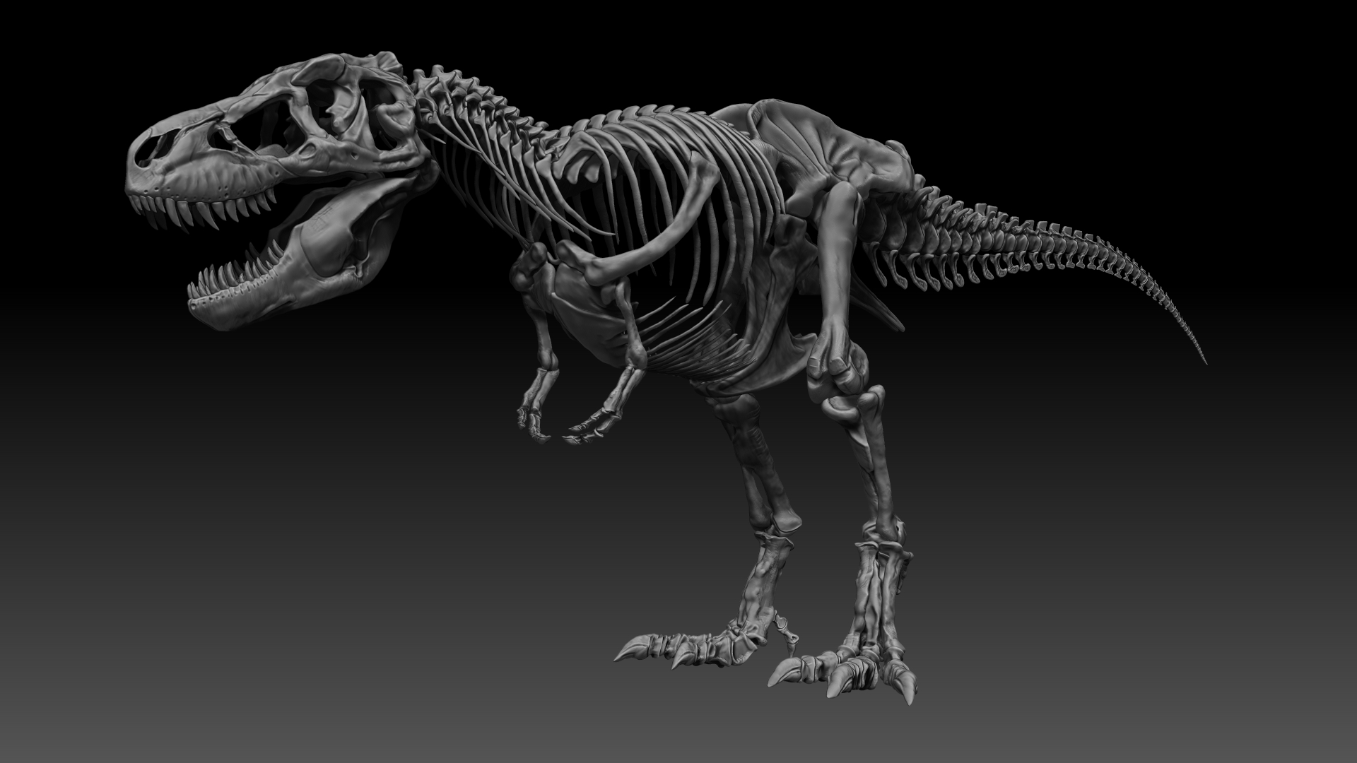 Sub Tyrannosaurus Rex Full Skeletons - SubREX by Racksuz | 3DOcean