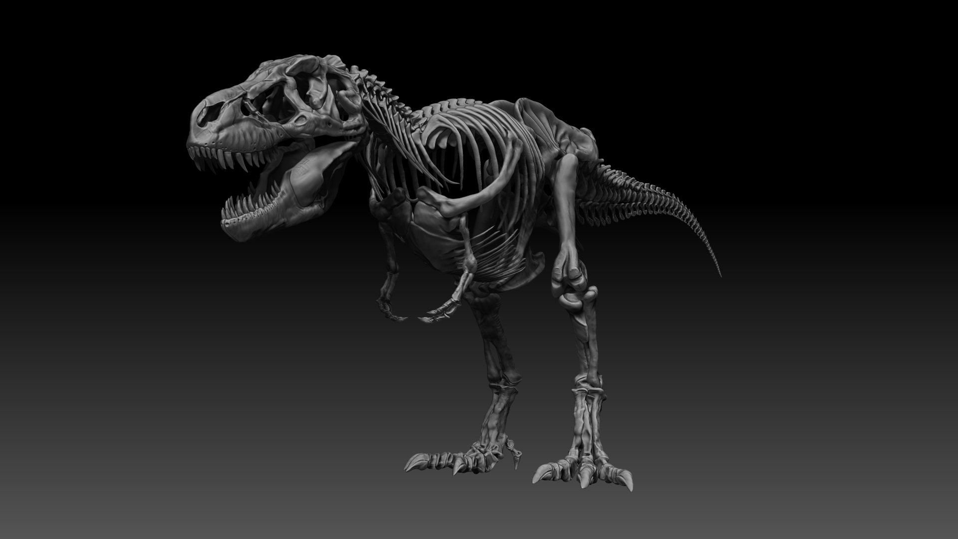 Sub Tyrannosaurus Rex Full Skeletons Subrex By Racksuz 3docean 