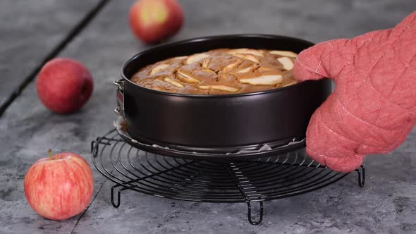 A Freshly Prepared Apple Cake in a Baking Pan