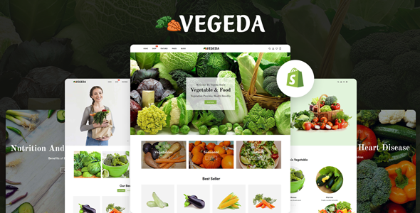 Vegeda - Vegetables - ThemeForest 27469486